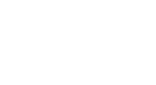 Brazos 2020 Vision, Inc.